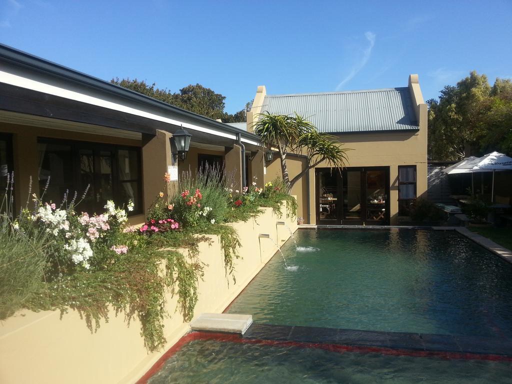 Aloe Guest House Hermanus Eksteriør billede