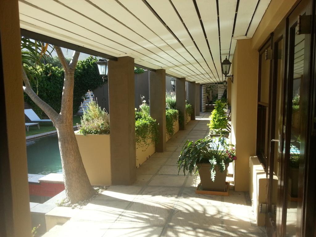 Aloe Guest House Hermanus Eksteriør billede
