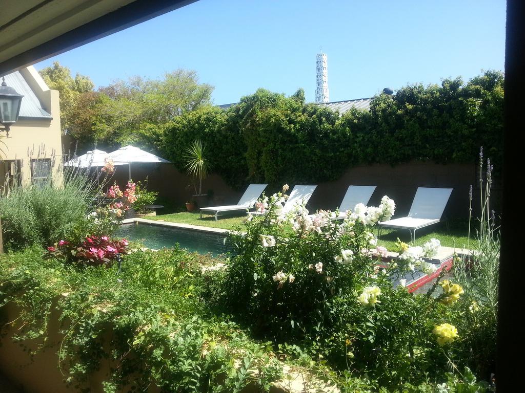 Aloe Guest House Hermanus Eksteriør billede